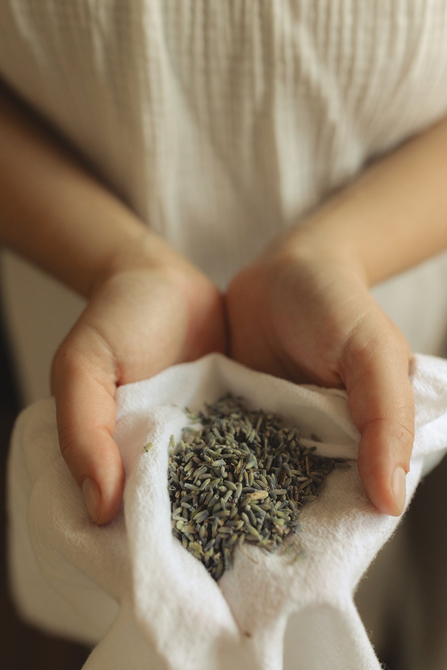 Body Cream - Firm Whipped Tallow Skincare