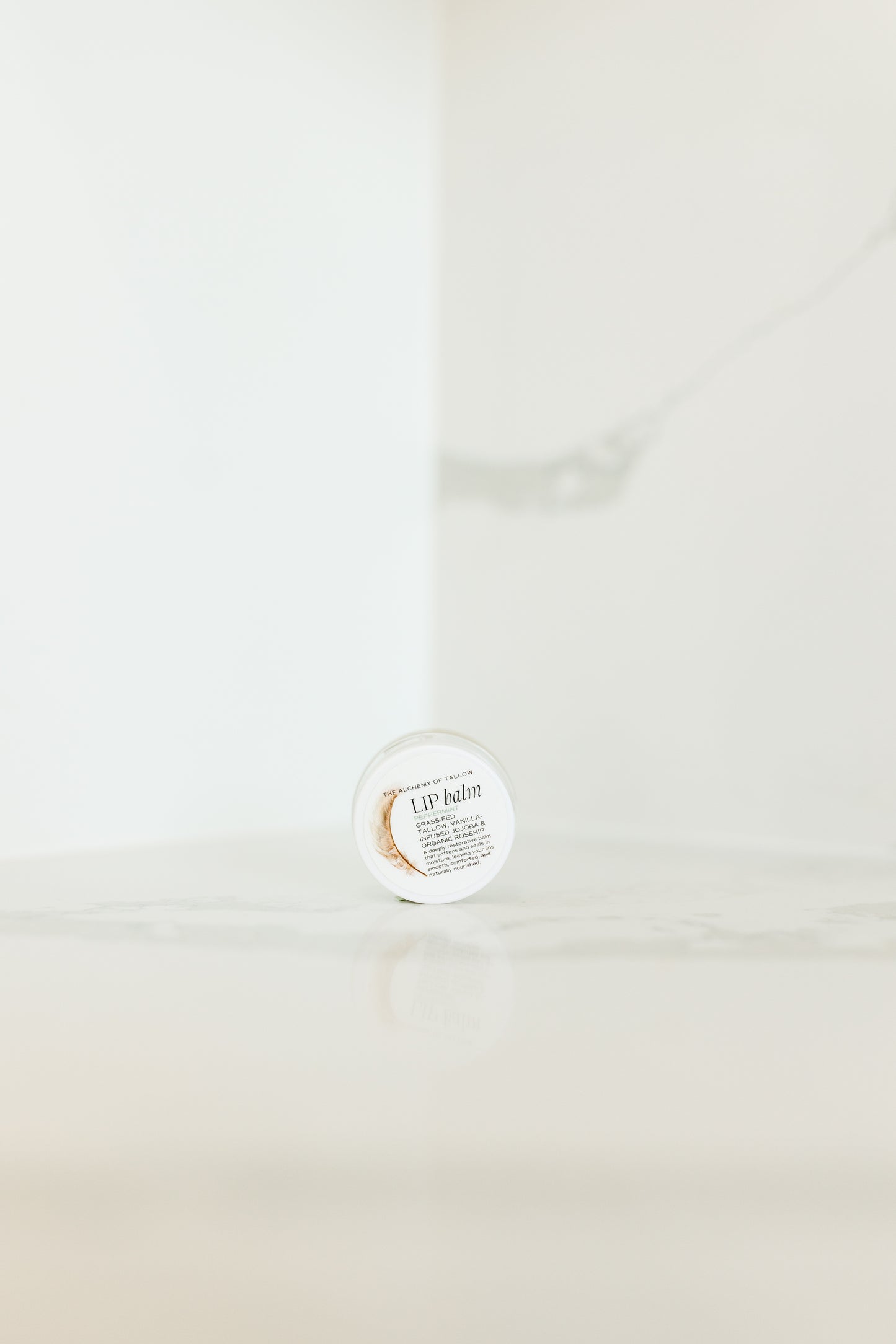Lip balm container on a white background