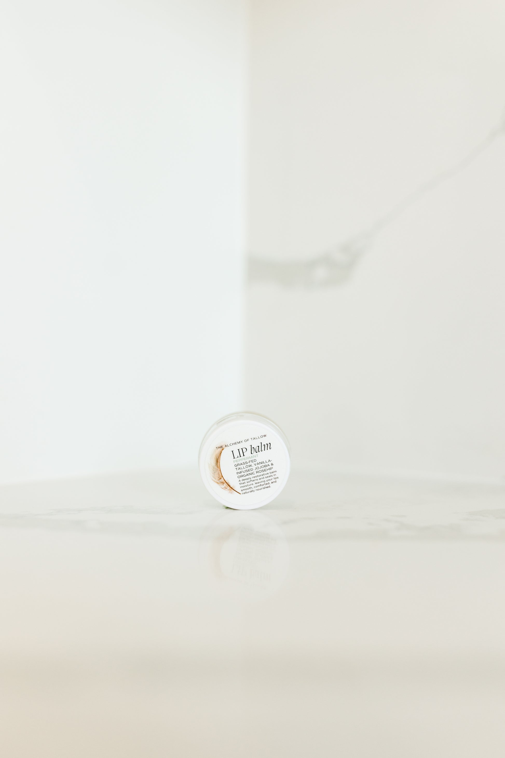 Lip balm container on a white background