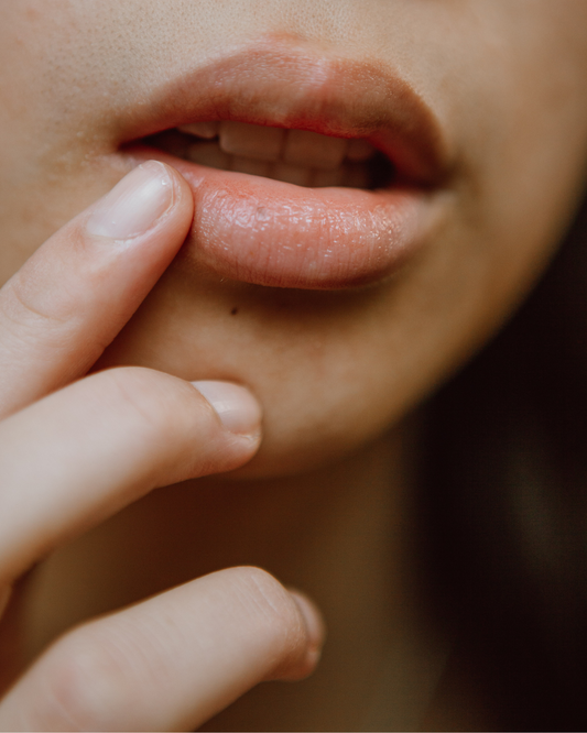 grass fed tallow lip balm with organic rosehip